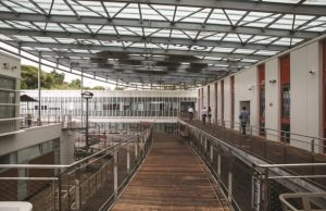 Insertion professionnelle